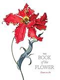 The Book of the Flower: Flowers in Art