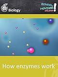 How enzymes work - School Movie on Biology