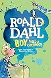 Boy: Tales of Childhood