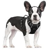 rabbitgoo Dog Harness No Pull with 2 Leash Clips, Adjustable Soft Padded, Reflective Oxford No Choke Pet Vest with Easy Control Handle for Small Dogs, Black, S