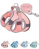 Petank Dog Harness for Small Medium Dogs No Pull, Puppy Harness and Leash Set, Step in Dog Harness for Walking, Running, Training, Small Dog Vest (Pink, S)