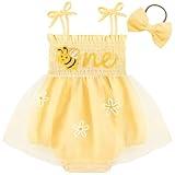 HONGTEYA Baby Girl 1st Birthday Outfit Girl First Birthday Clothes One Year Old Gifts Lace Romper Tulle Summer Newborn Dress