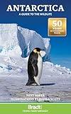Antarctica: A Guide to the Wildlife (Bradt Travel Guides)
