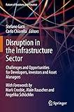 Disruption in the Infrastructure Sector: Challenges and Opportunities for Developers, Investors and Asset Managers (Future of Business and Finance)