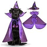 Vehomy Halloween Dog Costume Dog Witch Cape Witch Hat Set Pet Wizard Cloak Vampire Devil Outfit Puppy Cat Halloween Cloak Devil Clothes Outfit Apparel Cosplay for Small Medium Large Dogs 2Pcs M