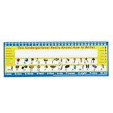 Really Good Stuff 12PK Zaner-Bloser Kindergarten Two-Sided Cardstock Desktop Reference Nameplate with Testing Inserts