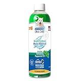 Nylabone Advanced Oral Care Cat & Dog Water Additive for Dental Care - Liquid Tartar Remover - Dog Breath Freshener & Teeth-Cleaning Liquid - Peppermint (16 oz.)