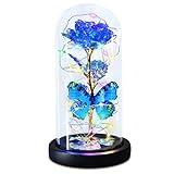 Beauty and The Beast Rose Gifts for Women, Forever Light Rose in Glass Dome, Valentines Day Gifts for Her Mom Grandma Wife Girlfriend Friends, Birthday Christmas Mother's Day Thank You Gifts