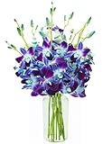 KaBloom Flowers - Mother's Day Collection - Exotic Sapphire Orchid Bouquet of Blue Orchids from Thailand with Vase - Gift for Birthday,Thank You, Valentine, Mother’s Day Fresh Flowers