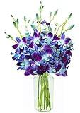 Exotic Sapphire Orchid Bouquet of Blue Orchids from Thailand with Vase - Holidays Collection - KaBloom Prime Next Day - Gift for Birthday,Thank You, Valentine, Mother’s Day Fresh Flowers