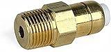 Thermal Relief Valve 3/8" NPT for Pressure Washer Pump Gold