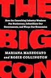 The Big Con: How the Consulting Industry Weakens Our Businesses, Infantilizes Our Governments, and Warps Our Economies