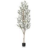 Kazeila Artificial Olive Tree 6FT Tall Faux Silk Plant for Home Office Decor Indoor Fake Potted Tree with Wood Branches and Fruits