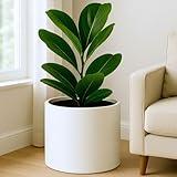 Fox & Fern 14.6 Inch Extra Large Planter — Premium Lightweight Fiberstone Matte White Plant Pot with Drainage Plug; Big Planter for Indoor & Outdoor Use; Weather Resistant & UV Resistant