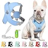 Patas Lague Dog Harness with Leash Set Adjustable Soft Padded Step-in Dog Vest No Choke No Pull Reflective for Small Medium Pets with Poop Bags and Dispenser, Solid and No-chew, Blue M