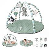 Blissful Diary Baby Play Gym Mat, Tummy Time Mat with 6 Detachable Toys for Stage-Based Sensory & Motor Skill Development, Baby Activity Mat Easy to Install & Clean, Baby Essentials Gift, Sage Green