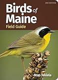 Birds of Maine Field Guide (Bird Identification Guides)