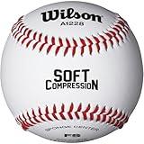 WILSON Sporting Goods Practice and Soft Compression Baseballs, A1228, FS (One Dozen), white