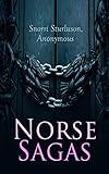 Norse Sagas: Kings' Sagas: Saga of Olaf Haraldson, Saga of Magnus the Good, Sagas of Icelanders: Saga of the Greenlanders, Erik the Red's Saga, Legendary Sagas: Volsunga Saga, Frithiof's Saga