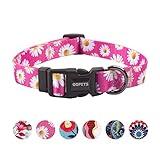 QQPETS Adjustable Soft Dog Collar: Print Flower Pink Multicolor Cute Patterns for XS Small Medium Large Pet Girl Boy Puppy Walking Running Training (XS, Small Daisies)