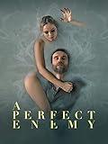 A Perfect Enemy