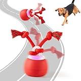 Potaroma Interactive Dog Ball Toys Touch Activated, Rechargeable, Squeaky Dog Toy, Moving Wicked Ball for Pup with Rope for Medium Small Dogs Puppy Dark Red