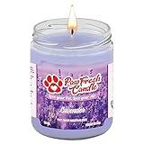 Lavender Scent Odor Eliminating Candle 13oz-70hrs Burning Time Premium Pet Odor Eliminator Candle for Clean Home Environment-Long Lasting Scent-Pet Friendly-Pet Aromatherapy-100% Pure Soy Wax