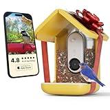 Bird Buddy® Original Smart Bird Feeder with Camera. High Resolution Ai Camera for Beautiful Close-Up Shots and A Unique Bird Watching Experience (Yellow, Bird Buddy with Solar Roof)