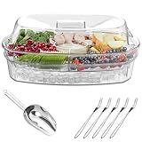 Newbro Chilled Serving Platters and Trays for Entertaining, Veggie Tray with Lid and Ice Scoop, Cold Shrimp Cocktail Serving Dishes Party Travel Cookout Tailgate Essentials, Appetizer Fruit Snack Tray