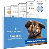 Wisdom Panel Essential Dog DNA Kit: Most Accurate Test for 365+ Breeds, 30 Genetic Health Conditions, 50+ Traits, Relatives, Ancestry - 1 Pack