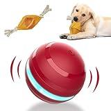 BENTOPAL Interactive Dog Balls with Motion Activated, Wicked Ball Squeaky Dog Toy Oxford Bag Keep Dogs Busy (Red Ball)