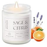 Molensun Sage &Citrus Scented Candles, Mother's Day Gifts, Aromatherapy Jar Candle, 7 oz Long Lasting Candles, Soy Wax Candle Gift for Women