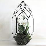 Ferrisland Handmade 10" Large Glass Terrarium Irregular Geometric Planter Indoor Air Plants Holder Window Balcony Display Succulent Flower Pot, Black