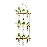 XXXFLOWER Wall Hanging Propagation Station with Wooden Stand Glass Test Tubes Tiered Planters Wall Terrarium for Home Office Plant Hanger Flower Vases Wall Decor Hydroponic Cuttings (9 Tube Vases)