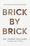 Brick by Brick: Becoming a Clinical & Consulting Psychologist