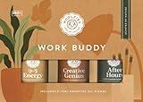 Woolzies Work Buddy Essential Oil Blends Set of 3 for Diffuser, Massage or Topical Use | Incl 9-5 Energy, Creative Genius & After Hours | 10 ML