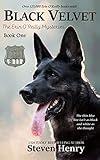 Black Velvet (Erin O'Reilly Mysteries)