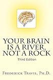Your Brain Is a River, Not a Rock