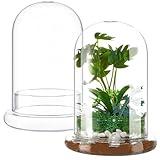 STARVAST 2PCS Glass Dome Cloche with Airhole and Base, 8.7 x 5.9 x 4.7 Inches, Clear Terrarium Planter Container for Plant Flower Home Tabletop Display Centerpiece, Plants Not Included