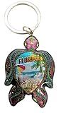 Westmon Works Florida Sea Turtle Keychain Colorful Metal Key Ring with Scenic Ocean Imagery