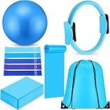 10 Pcs Pilates Ring Set for Women Home Yoga Equipment Accessories Pilates Ring Circle and Ball Workouts Gift Include Ball Yoga Circle Resistance Bands Block Straps Gym Bag(Blue)