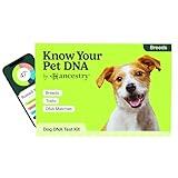 Dog DNA Panel Test Kit by Ancestry, The Leader in at-Home Genetic Testing | Breed and Behavioral Trait Identification, Unique Dog Owner Gifts | Boy/Girl New Puppy Essentials