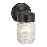 Design House 502195 Jelly Jar 1 Light Indoor/Outdoor Wall Light, Black