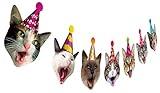 Birthday Cat Garland, Photographic Cat Faces Birthday Banner, Kitties Bday Party Bunting Decoration