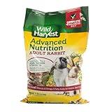 Wild Harvest Advanced Nutrition Diet For Adult Rabbits, 8 Lbs