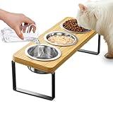 Elevated Cat Bowls with 3 Stainless Steel Bowls | 10° Tilted Anti-Vomiting Raised Cat Food Bowl for Small Cats and Puppies Pet Bowl with Stand