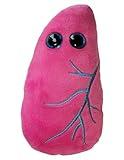 GIANTmicrobes Lung Plush, Respiratory Therapist Gifts, Pulmonologist Gifts, Respiratory Therapy Gifts, Lung Transplant Survivor Gifts, Lung Cancer Survivor Gifts, Lung Pillow, Lung Stuffed Animal