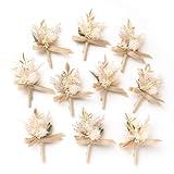 Ling's Moment Boutonniere for Men, 10pcs Groomsmen Guest Boutonniere, Artificial Flowers for Wedding Décor/Prom/Homecoming,etc.Beige
