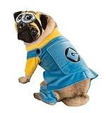 Rubies Despicable Me 2 Minion Pet Costume, Large for Themed Parties and Halloween