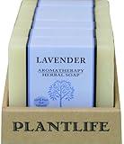 Plantlife Lavender 6-pack Bar Soap - Moisturizing and Soothing Soap for Your Skin - Hand Crafted Using Plant-Based Ingredients - Made in California 4oz Bar